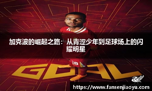 易倍体育官方网站