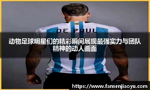 动物足球明星们的精彩瞬间展现最强实力与团队精神的动人画面