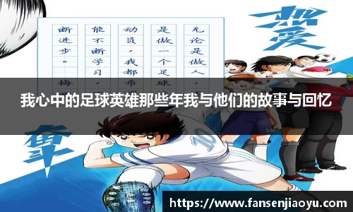 我心中的足球英雄那些年我与他们的故事与回忆