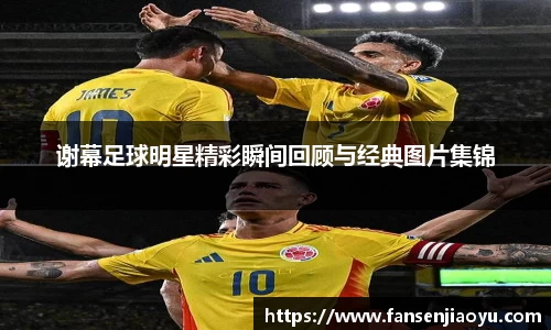谢幕足球明星精彩瞬间回顾与经典图片集锦