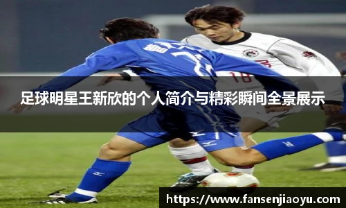 足球明星王新欣的个人简介与精彩瞬间全景展示